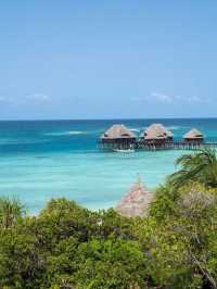 🌴 Zanzibar's Sultan Palace: A Tropical Getaway 🏖️