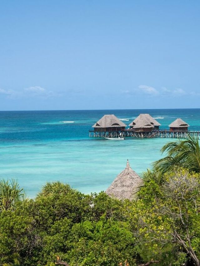 🌴 Zanzibar's Sultan Palace: A Tropical Getaway 🏖️