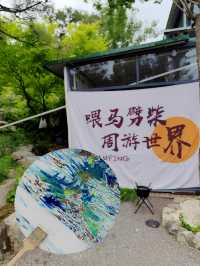 露營打卡|濟南人有自己的莫奈花園”