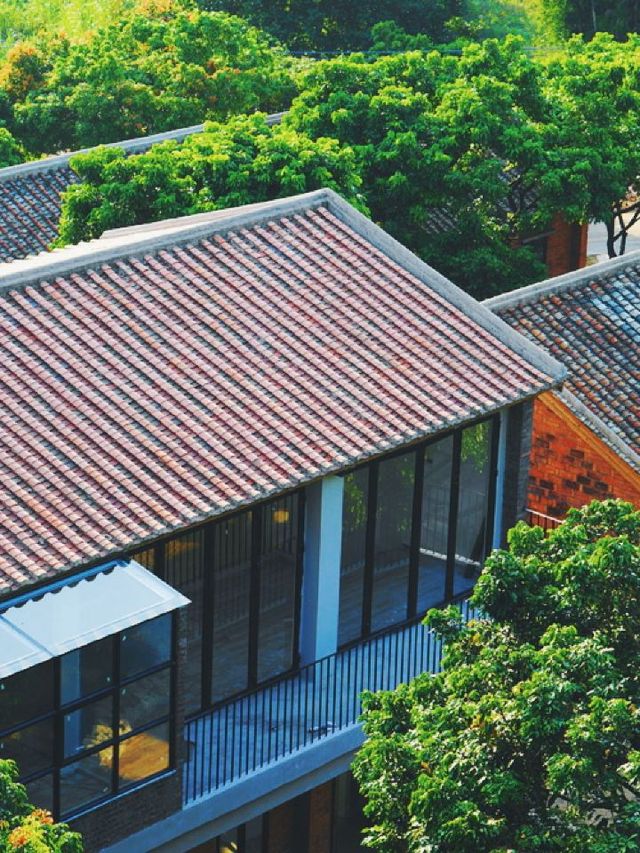 🌟 Guangzhou's Secret Garden: Stay, Play & Indulge 🌿🏡