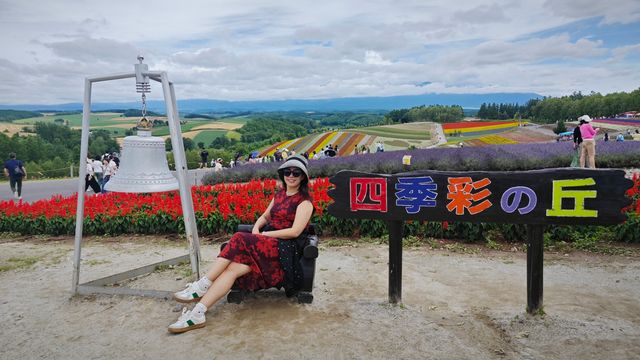 北海道的夏日天花板——四季彩之丘