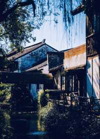 離滬1h·｜這座古村也太好逛了吧，簡直流連忘返