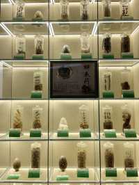 廣州｜開在大學裡的中醫藥博物館，超夢幻又好逛！