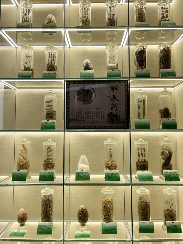 廣州｜開在大學裡的中醫藥博物館，超夢幻又好逛！