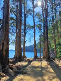 【香港城門水塘】Wanaka的鬆弛感🔥，湖面倒影美好寧靜🏖️🏖️😍。週末適合行程🥰