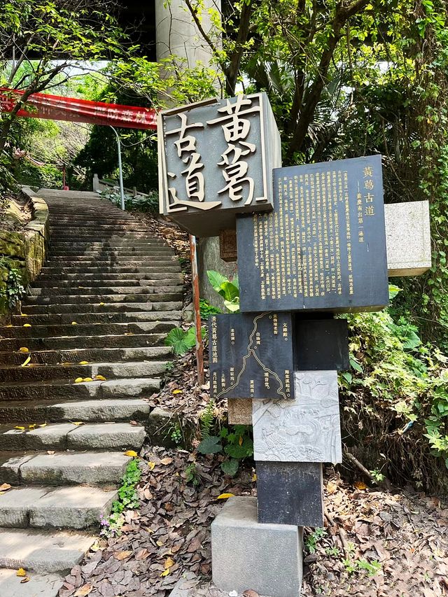 探索重慶道教老君洞千年道觀，登頂絕美風光盡收眼底！