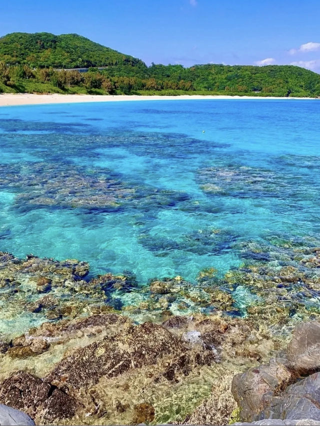 🎊【限時優惠】皇家加勒比年底沖繩行🌊