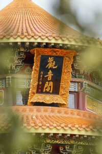 大悲禪寺。
