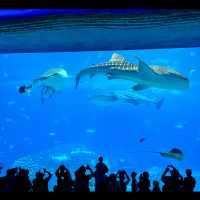 Aquarium in Zhuhai China
