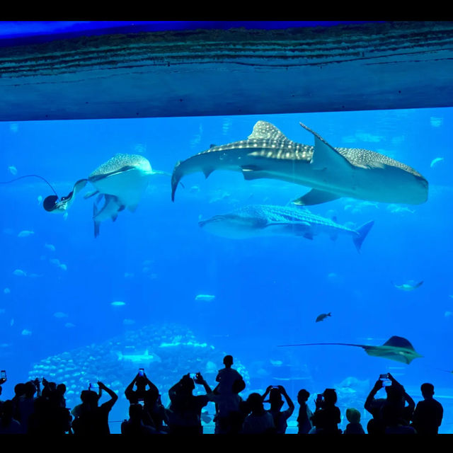 Aquarium in Zhuhai China