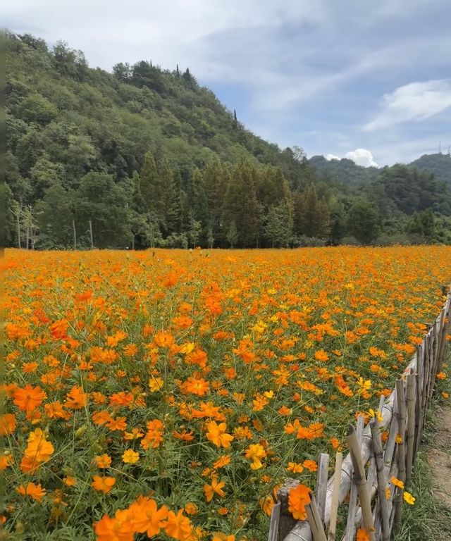 貴陽十里河灘｜美如潑墨