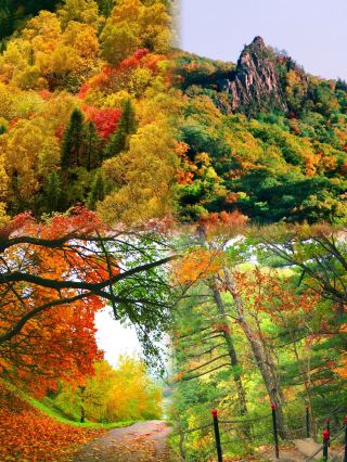 Harbin Xianglu Mountain, autumn travel guide (recommended for collection.