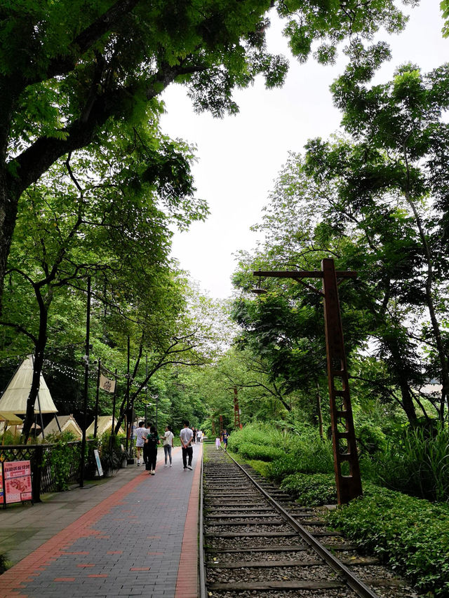 重慶沙坪壩區｜歌樂山國家森林公園 | 重溫紅色歷史之地。