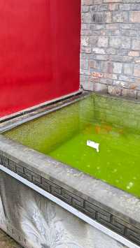 成都人最多、香火最旺的寺廟「石經寺」。