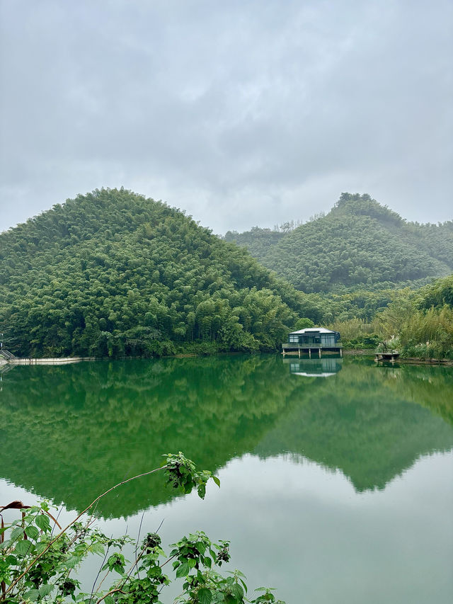 逃離上海丨住進山裡泡湯發呆盪鞦韆。