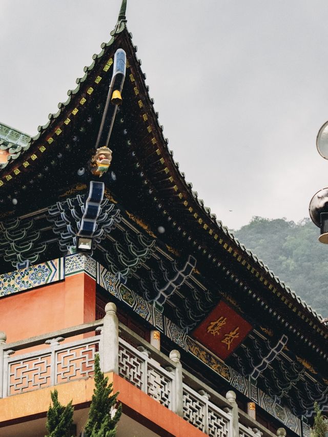 山與山不見面，再見容易，再見難。