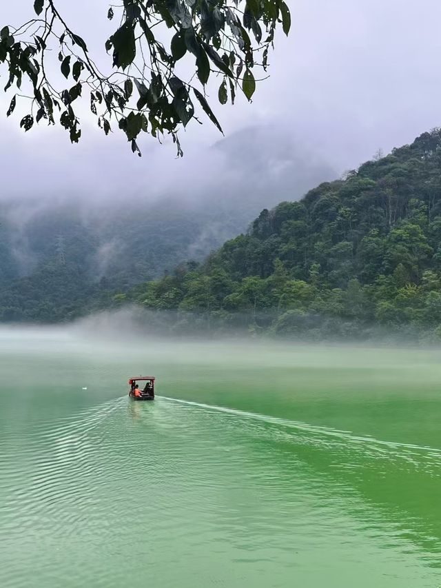 郴州｜民宿茶飲新體驗，人均不到一百衝。