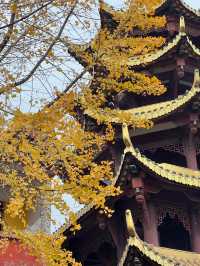寶輪寺一日遊！《附攻略》。