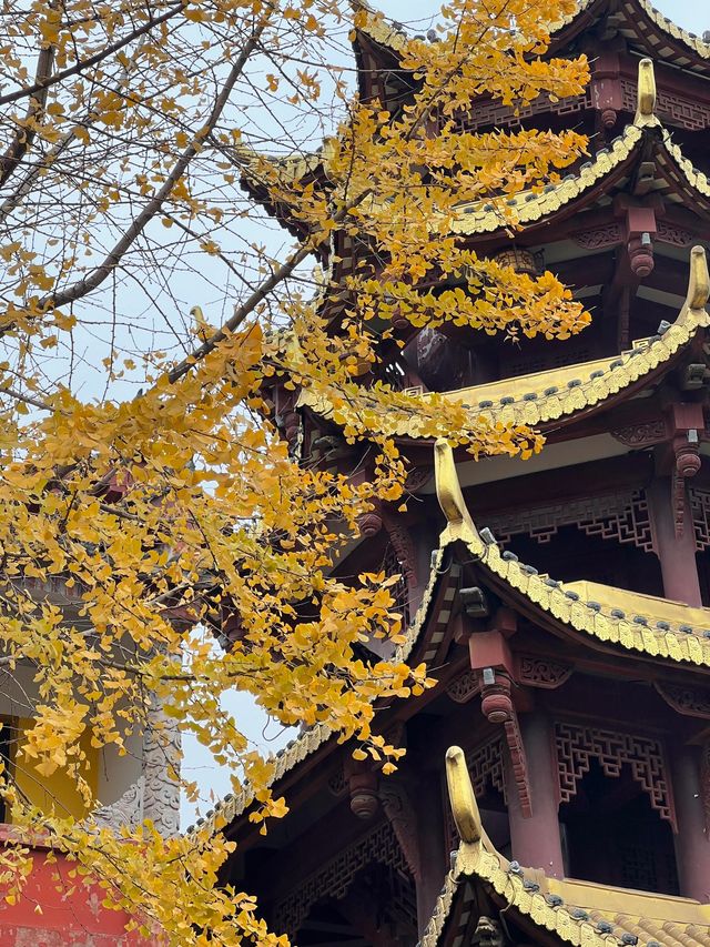 寶輪寺一日遊！《附攻略》。