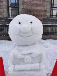 夢幻之旅，解鎖北海道的浪漫秘笈。