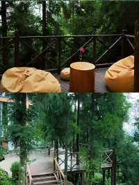 貴陽！遺世獨立！森林風山頂高空民宿絕美！。