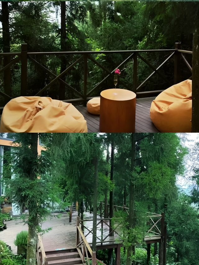 貴陽！遺世獨立！森林風山頂高空民宿絕美！。