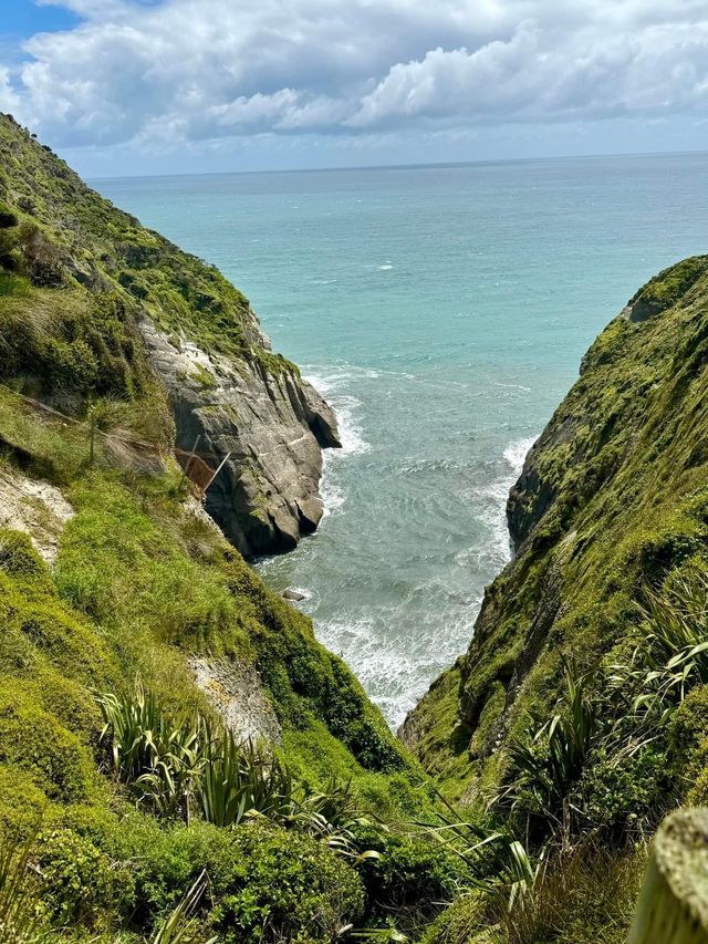 探索新西蘭南島的隱秘角落——Cape Farewell。