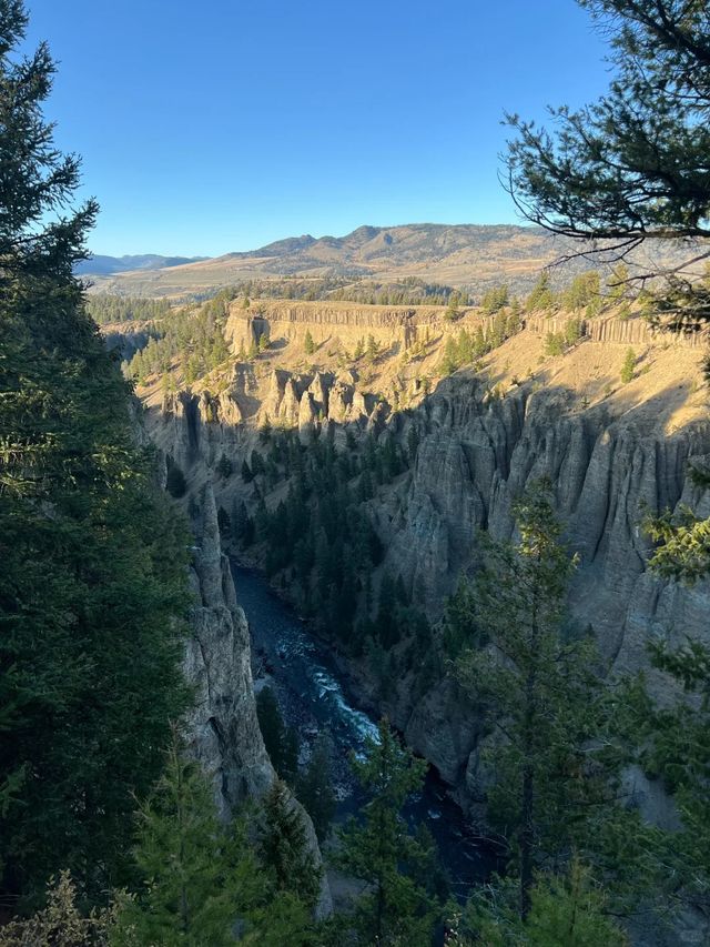 Top1 Yellowstone National Park Travel Guide is Here! [November Update]