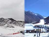 冬遊四川|鷓鴣山滑雪攻略|狗狗可入園景區