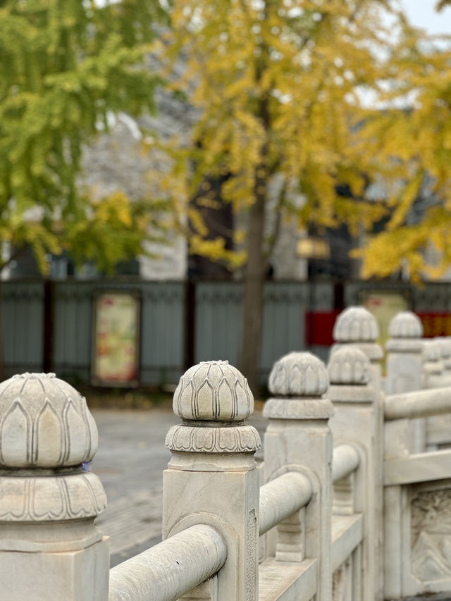 紅牆綠瓦故宮風—鄭州文廟