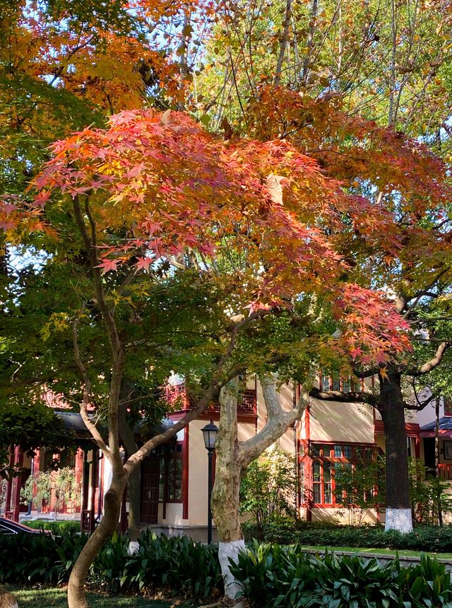 逛逛華東政法大學（長寧校區）