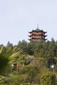 住進湖南的世外桃源|桃花源溫德姆