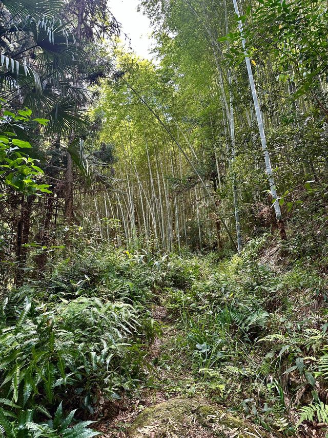 5日衢州行 已回來 這些不能不說