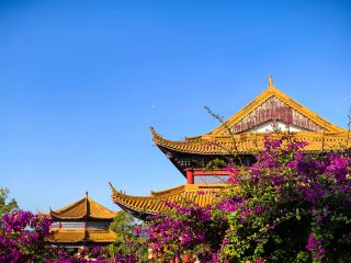詔安-金光明寺