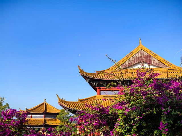 詔安-金光明寺