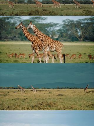 10-Day Kenya Winter Vacation Travel Guide