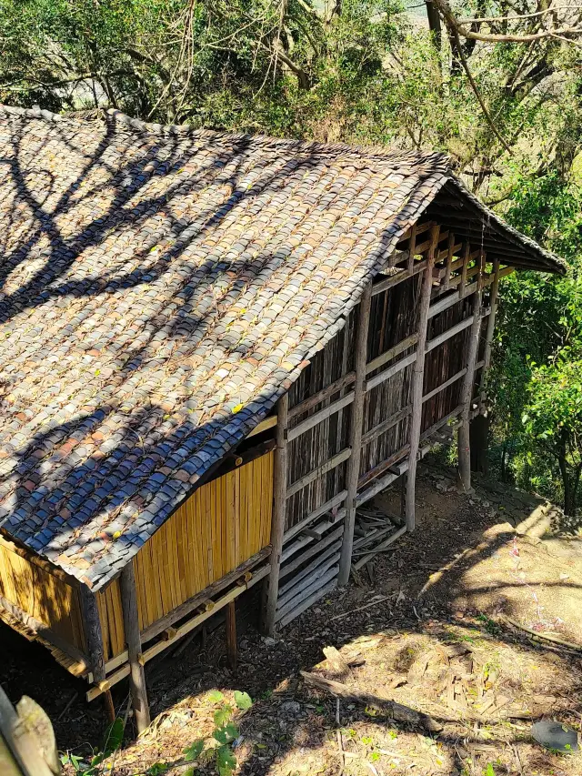 3-Day Qufu–Mount Tai–Jinan Itinerary: A Must-Read Guide! 