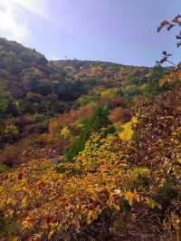阜新海棠山風景區：山林古剎的清幽畫卷