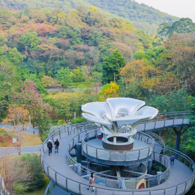 打卡廣州雲蘿植物園