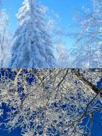 冰雪畫廊太美啦˃̶͈˂