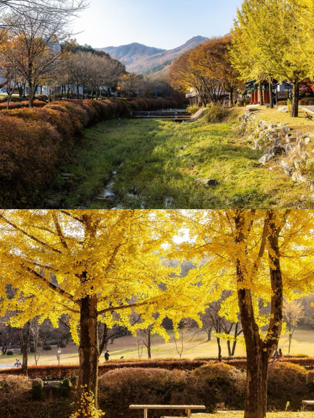 韓國瑞山的旅遊攻略