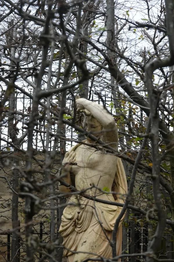 Exploring Harewood House In UK