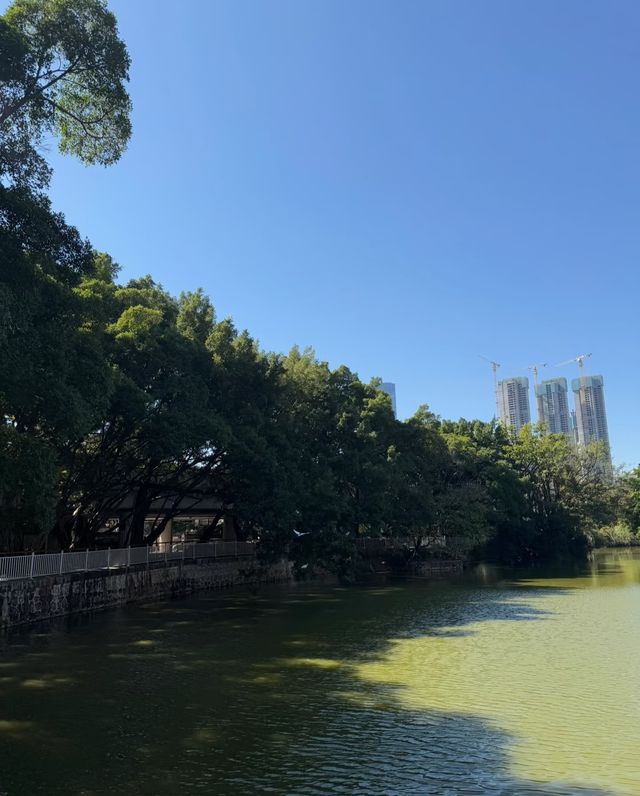 人民公園：邂逅愜意，暢享休閒時光