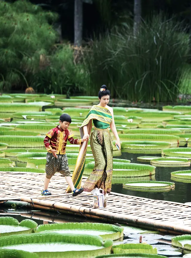 帶小朋友嚟西雙版納就住呢個景區入面嘅酒店，仲有樂園添