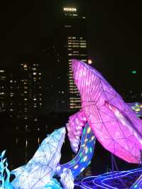 ——深圳市香蜜公園：璀璨燈展之美