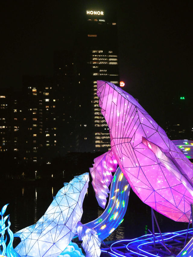 ——深圳市香蜜公園：璀璨燈展之美