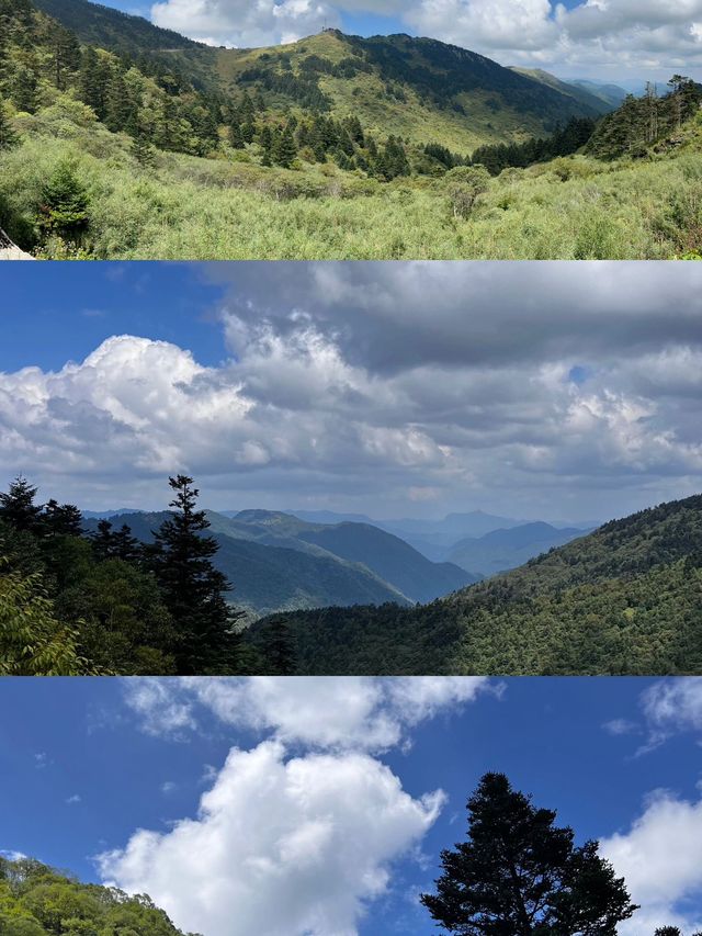 神農架3日滑雪之旅超詳細攻略