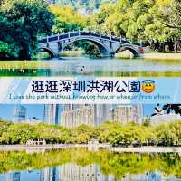 逛逛深圳老牌公園@洪湖公園