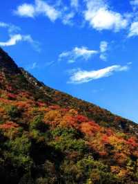 寒假去邊玩宜昌-神農架旅遊攻略來啦