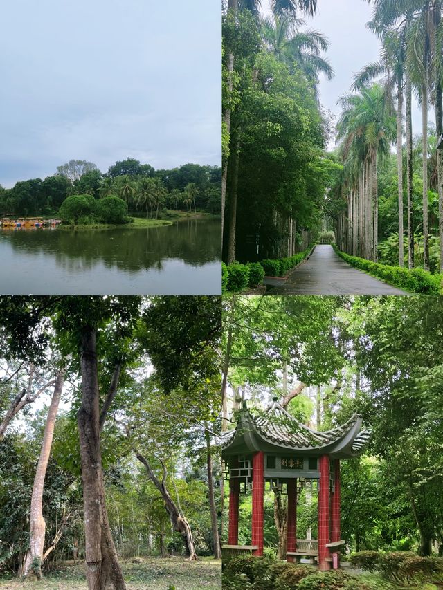 闖進現實版綠野仙蹤 海南熱帶植物園太好逛了